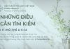 Những Điều Cần Tìm Kiếm – 30/6/2026
