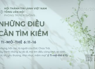 Những Điều Cần Tìm Kiếm – 30/6/2026