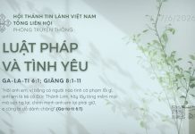 Luật Pháp và Tình Yêu – 7/6/2026
