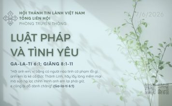 Luật Pháp và Tình Yêu – 7/6/2026