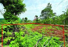 UB. Kiến Thiết: Thư ngỏ V/v Kêu Gọi Mua Đất Mở Rộng Cơ Sở Nhà Thờ Chi Hội Khe Sanh – Quảng Trị