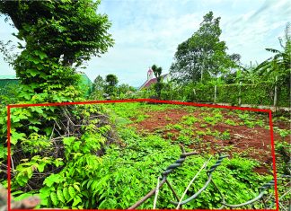 UB. Kiến Thiết: Thư ngỏ V/v Kêu Gọi Mua Đất Mở Rộng Cơ Sở Nhà Thờ Chi Hội Khe Sanh – Quảng Trị