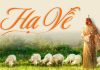 Thơ: HẠ VỀ