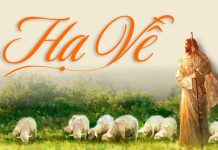 Thơ: HẠ VỀ