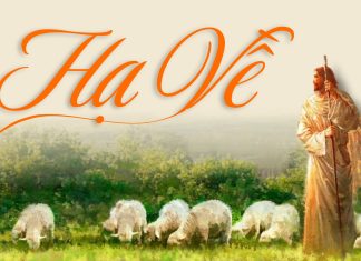 Thơ: HẠ VỀ