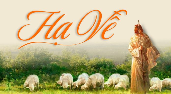 Thơ: HẠ VỀ