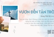 Vươn Đến Tận Trời – 14/7/2026