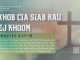 Txhob Cia Siab Rau Tej Khoom – 20/7/2026
