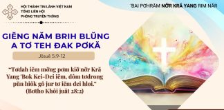 Giĕng Năm Brih Blŭng A Tơ Teh Đak Pơkă – 28/7/2026