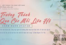 Trưởng Thành qua các Mối Liên Hệ – 23/8/2026