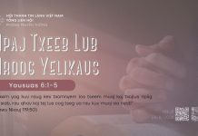 Npaj Txeeb Lub Nroog Yelikaus – 28/8/2026