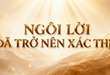 Bài hát: Ngôi Lời Đã Trở Nên Xác Thịt