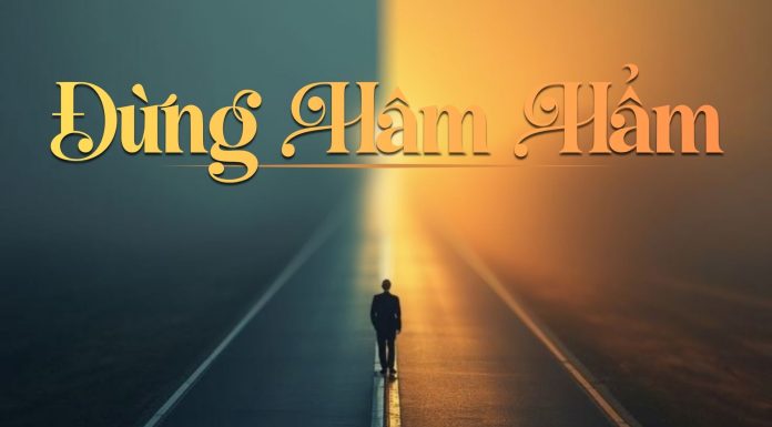 Thơ: ĐỪNG HÂM HẨM