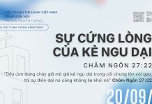 Sự Cứng Lòng của Kẻ Ngu Dại – 20/9/2026