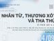 Nhân Từ, Thương Xót và Tha Thứ – 4/9/2026