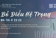 Bỏ Điều Hệ Trọng – 10/10/2026