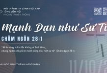 Mạnh Dạn như Sư Tử – 11/10/2026