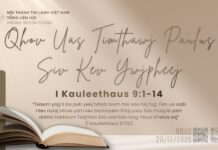 Qhov Uas Timthawj Paulus Siv Kev Ywjpheej – 20/10/2026