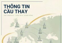 THÔNG TIN CẦU THAY
