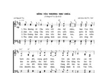 Bài hát: SỐNG YÊU THƯƠNG NHƯ CHÚA