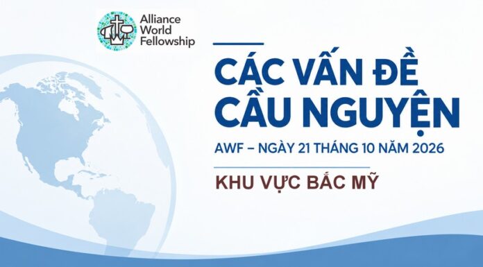 THÔNG TIN CẦU THAY