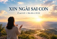 Bài hát: Xin Ngài Sai Con